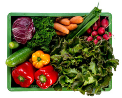 Produktfoto zu Gemüsekorb