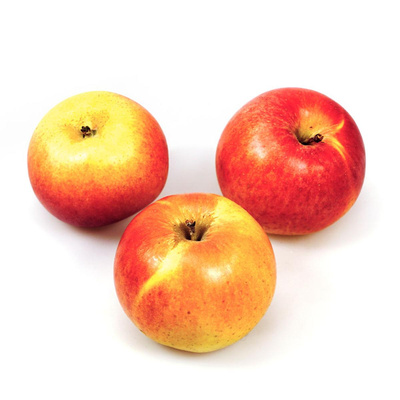 Produktfoto zu Apfel, Sapora