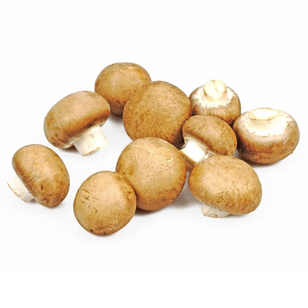 Produktfoto zu Champignons braun