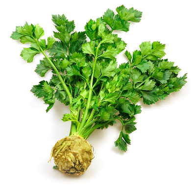 Produktfoto zu Sellerie-Knolle