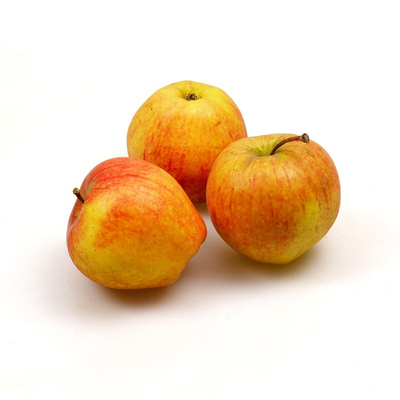 Produktfoto zu Apfel, Wellant