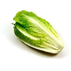 Produktfoto zu Romana-Salat