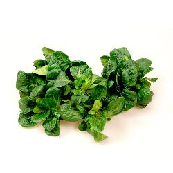 Produktfoto zu Feldsalat 250g Beutel