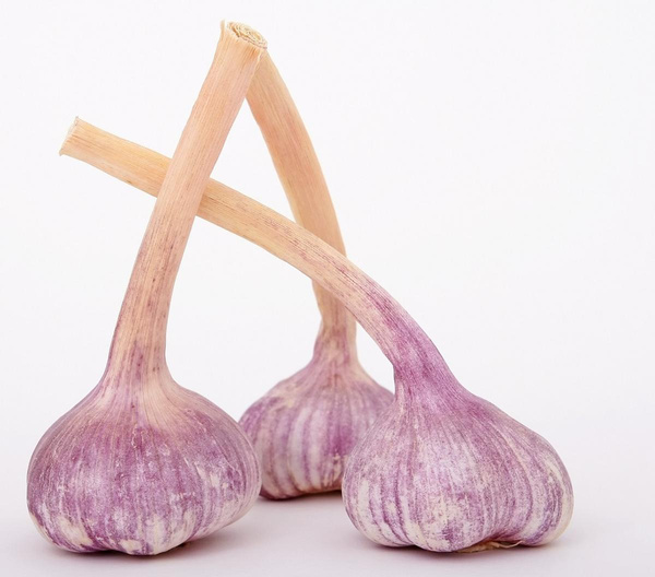 Produktfoto zu Knoblauch frisch