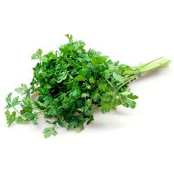 Produktfoto zu Blattpetersilie 50g